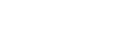 SPINDOX
